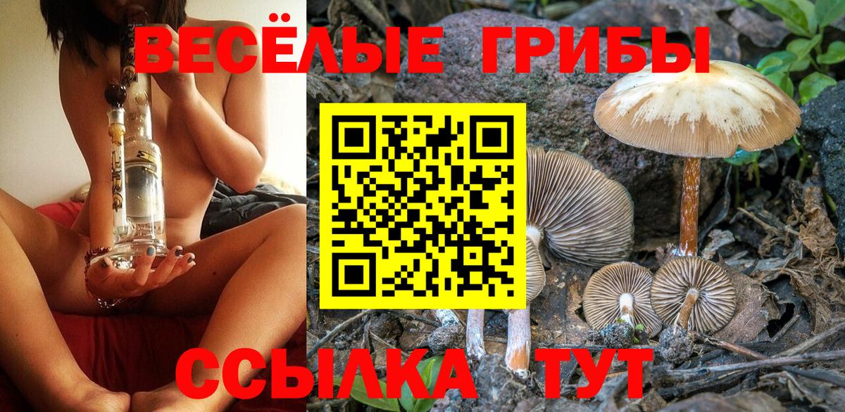 Галлюциногенные грибы ЛСД Керчь