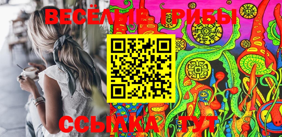 Керчь  Псилоцибиновые грибы GOLDEN TEACHER  Вход с VPN 